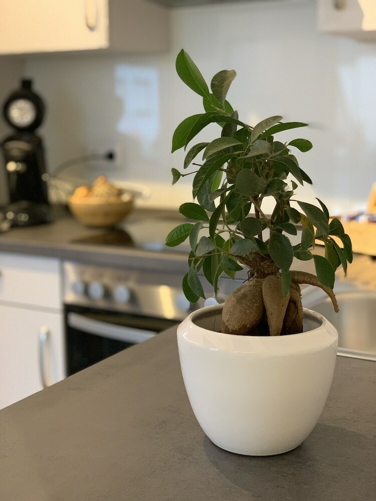 Apartment K�ln Ensen