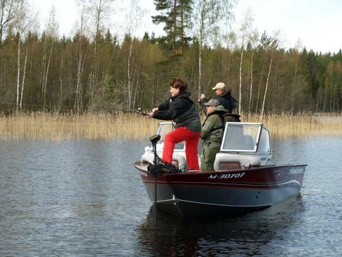 Hostal Ollinm�ki Vineyard