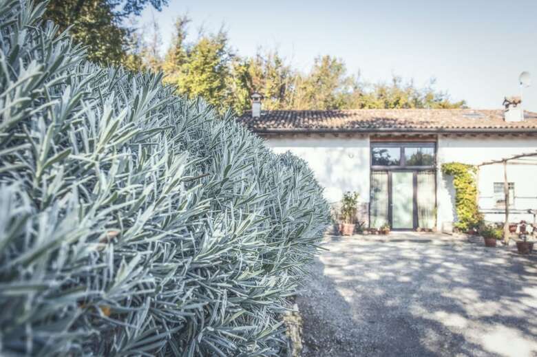 B&B Bosco Antico