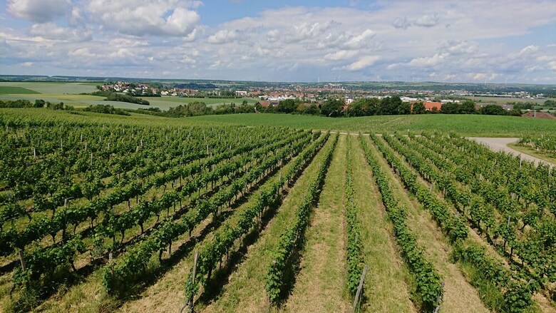 Apartamentos Weinbergshof Rickel