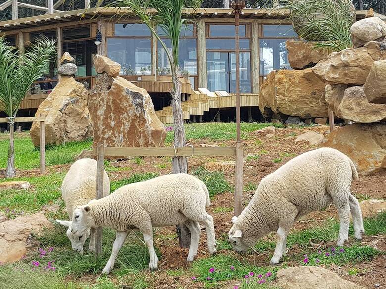 Hotel Tedesco Eco Park