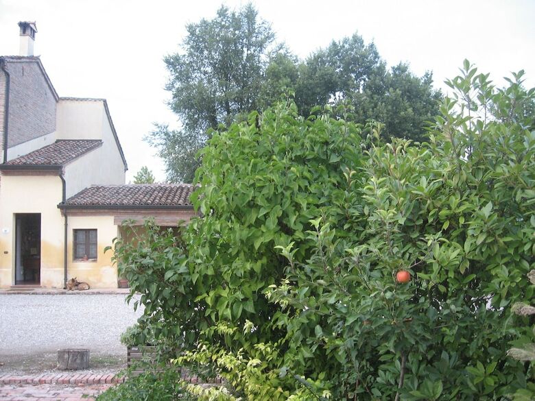Agroturismo Agriturismo La Rovere