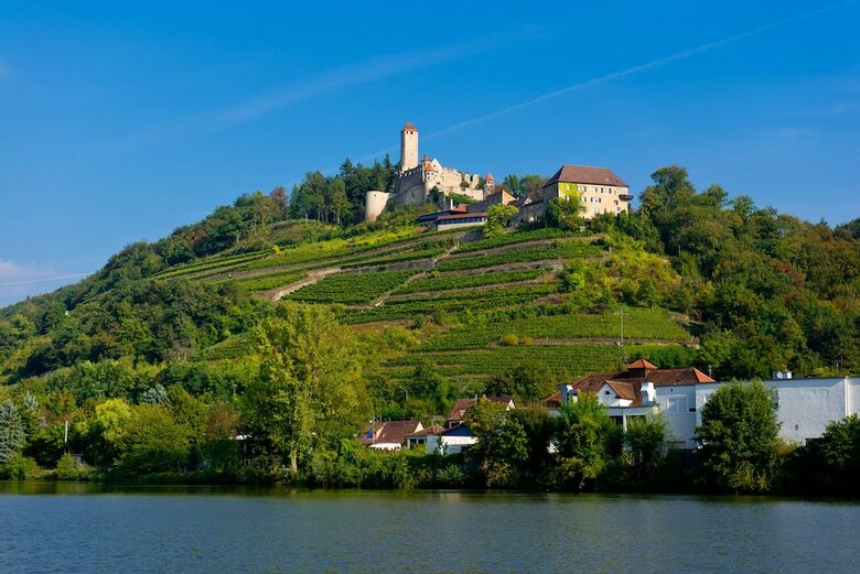 Hotel-restaurant Burg Hornberg