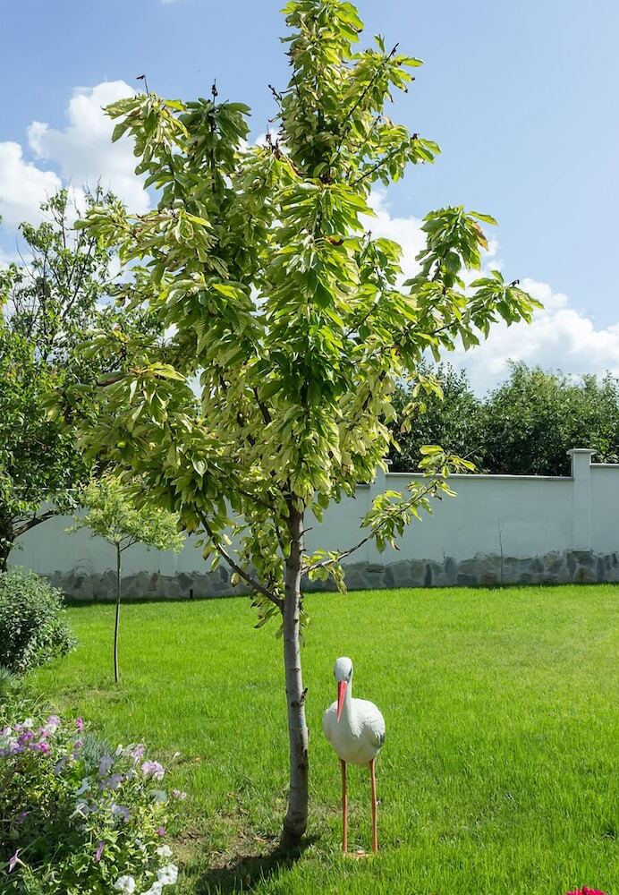 Apartamentos Fm Premium Guest House - Kalimantsi