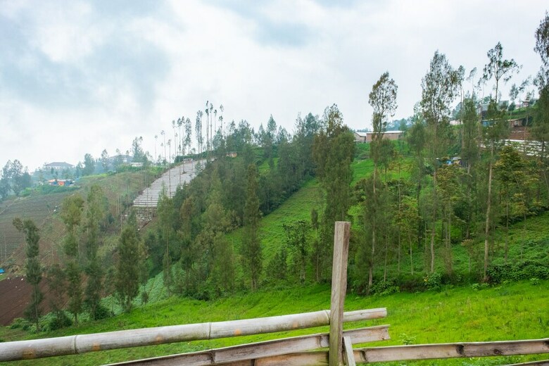 Hotel Oyo 2169 Anugrah Bromo Homestay
