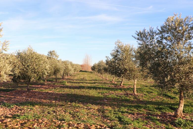 Agroturismo La Finka