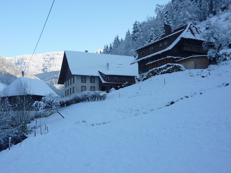 Great Holiday For Groups Or Multiple Families On A Beautiful Black Forest Farm