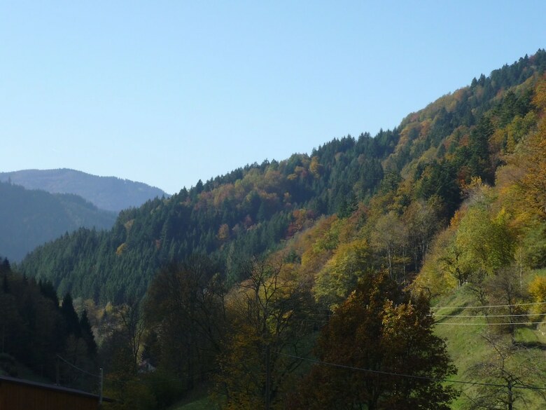 Great Holiday For Groups Or Multiple Families On A Beautiful Black Forest Farm