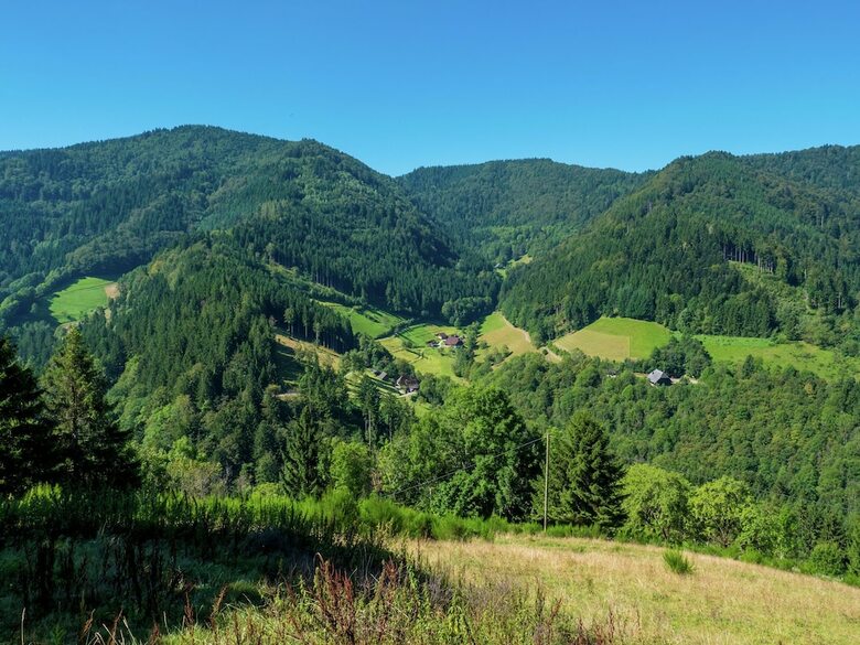 Great Holiday For Groups Or Multiple Families On A Beautiful Black Forest Farm
