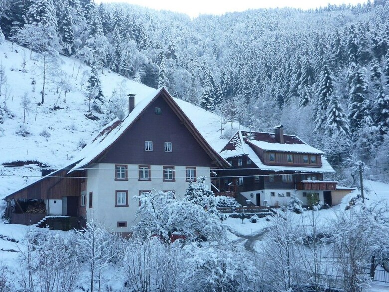Great Holiday For Groups Or Multiple Families On A Beautiful Black Forest Farm
