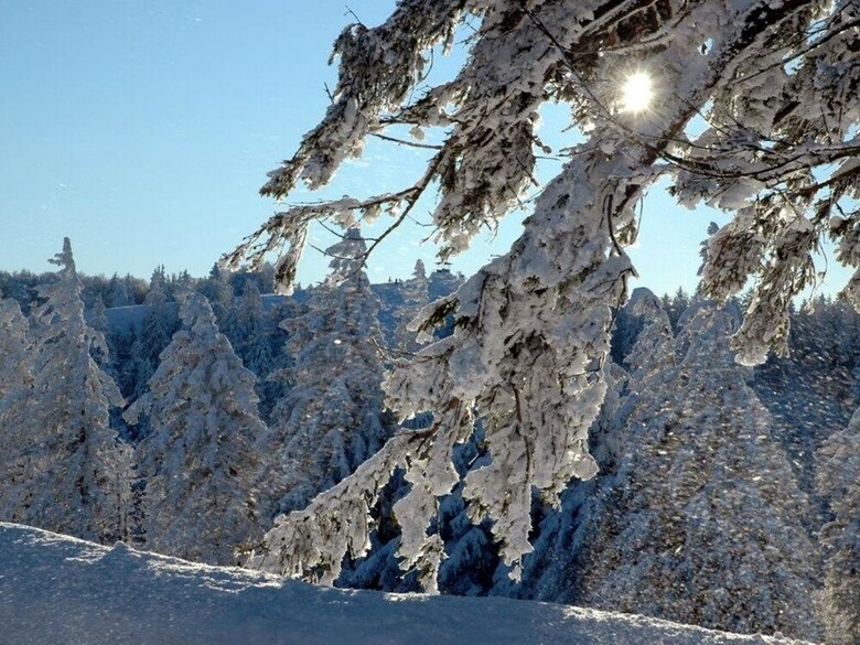 Great Holiday For Groups Or Multiple Families On A Beautiful Black Forest Farm