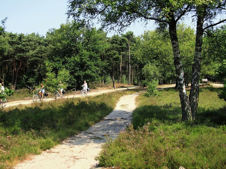 Comfortable Holiday Home In Lieveren Drenthe With Terrace
