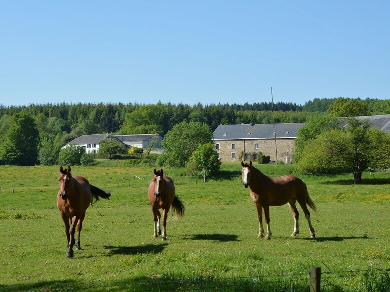 Attached Gite On The Edge Of The Forest