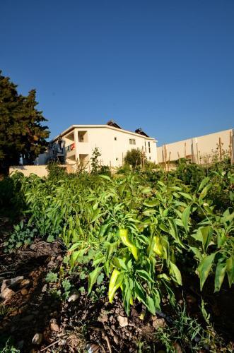 Aparthotel Aspro Spiti