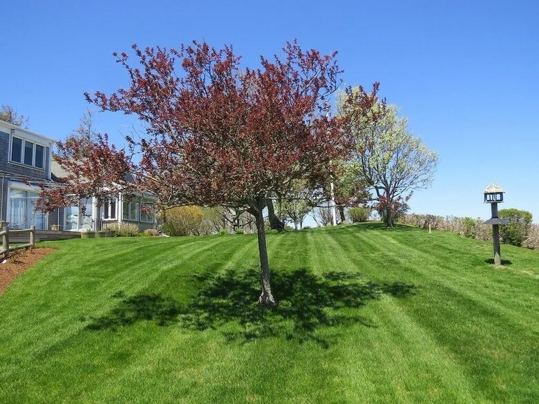 340 Whidah Road - Five Bedroom House