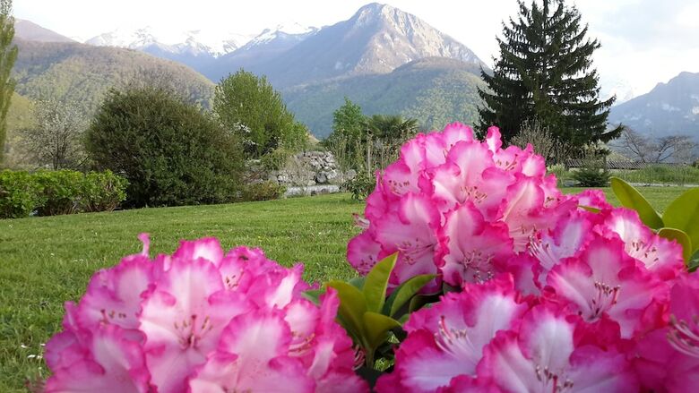 Bed & Breakfast Les Hauts de Hurlevents - Le Buffalo