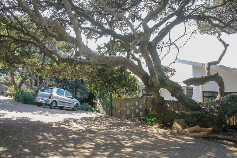 Apartamentos Carpe Diem