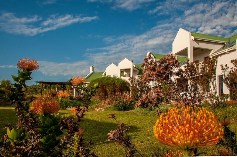 Hotel Wind-rose Guest House