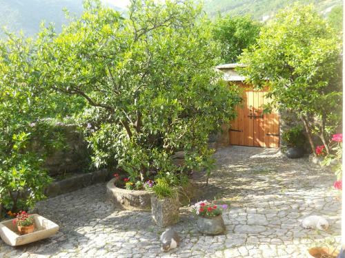 Hostal Villa Rustica