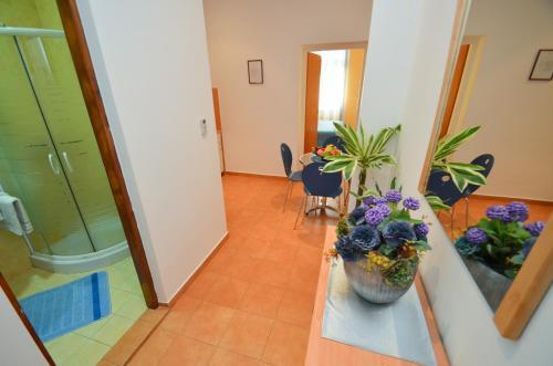 Apartments Vojin