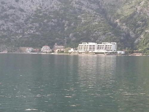Apartments Vojin