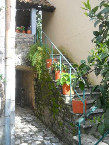 Apartments Subotic