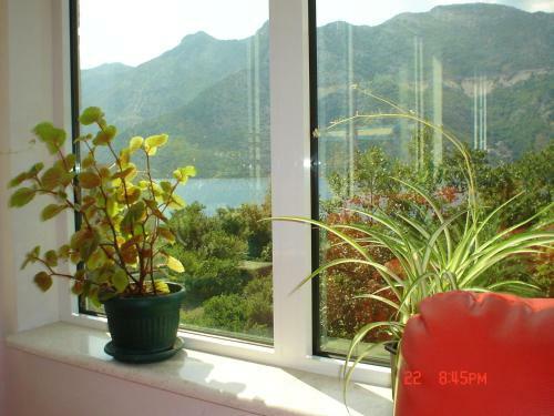 Apartments Risan