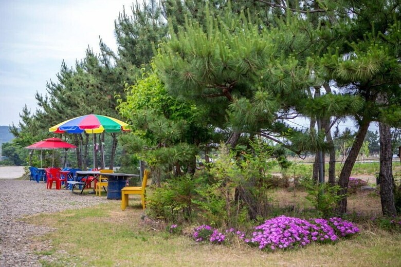 Sonamu Pension