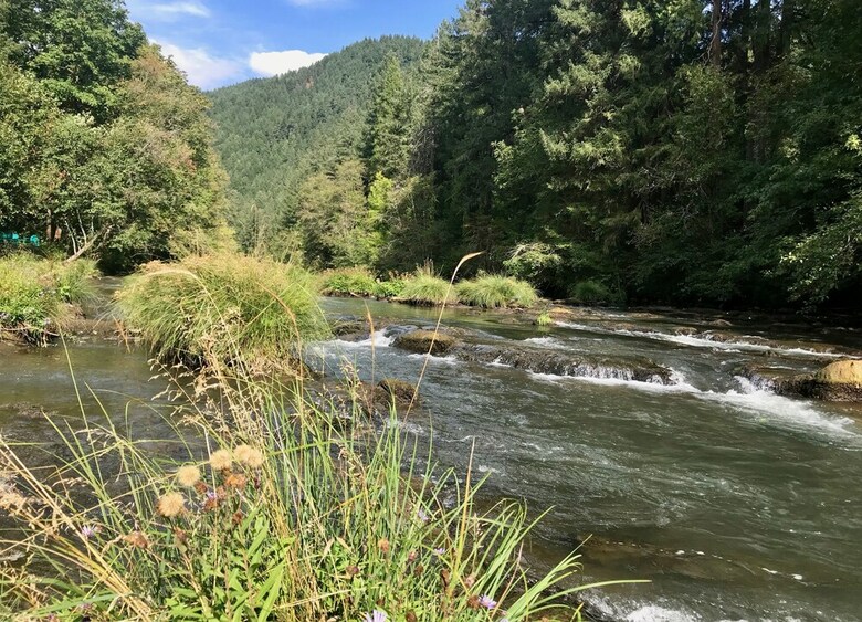 Apartamento Mckenzie River Mountain Resort