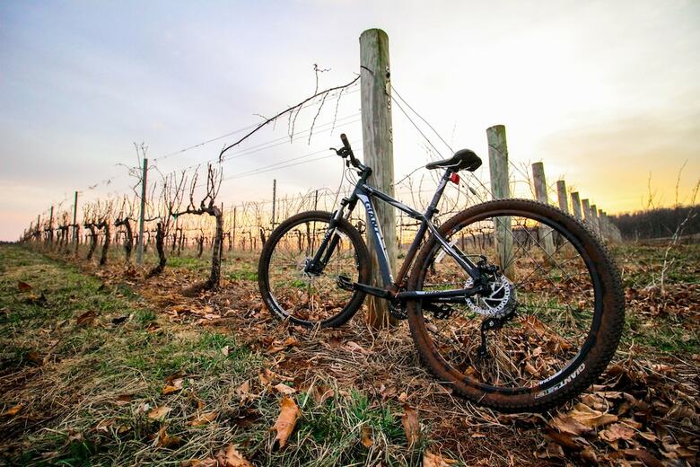 Hotel Albemarle Estate At Trump Winery