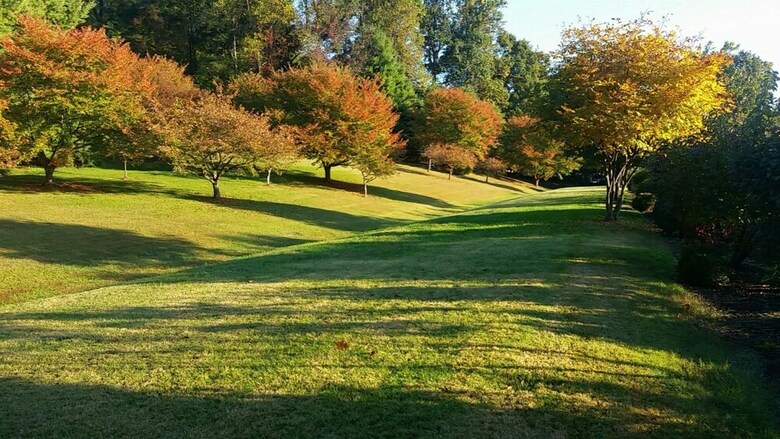 Hotel Albemarle Estate At Trump Winery
