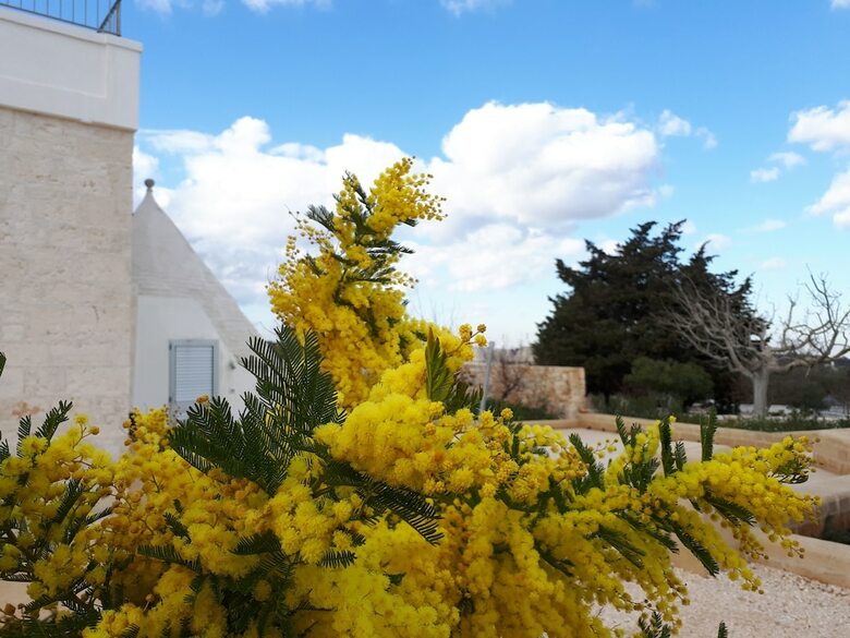 Apartamento Masseria Poesia
