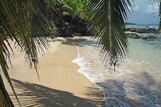 Hotel Taveuni Palms Resort