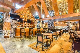 Hotel Sawridge Inn And Conference Centre Edmonton South