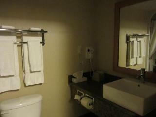 Hotel Woodlands Inn