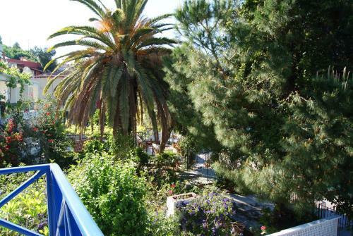 Blue Bosprina Hotel