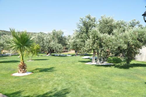 Assos Park Hotel