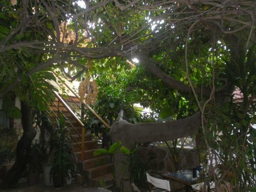 Hotel Lazer Pension