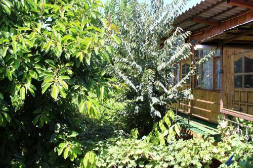 Hotel Lazer Pension