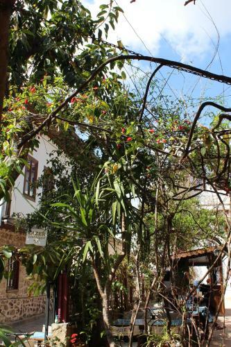Hotel Lazer Pension