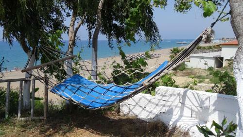 Mavi Cennet Camping&pansiyon