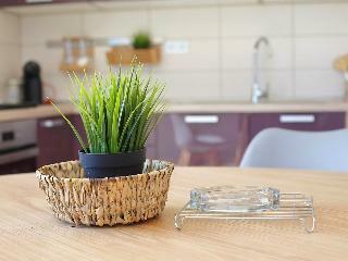 Hotel Apartments Tomislav
