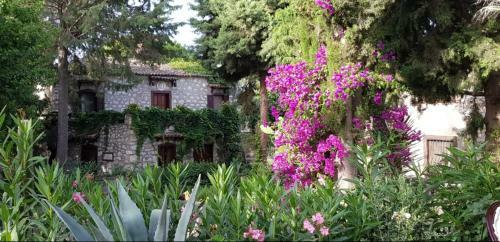 Hostal Medusa House Butik Hotel