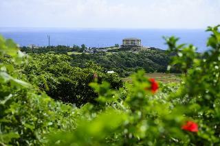 Yakushima Iwasaki Hotel