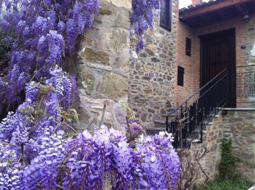 Ionia House