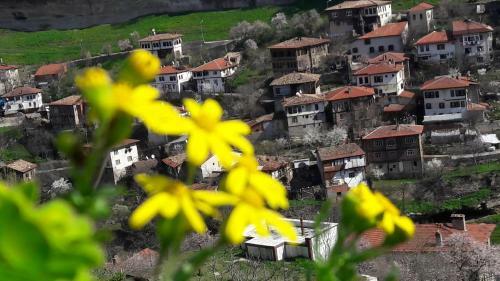 Demirkapi Konak Hotel