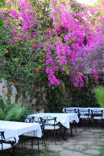Paradise Garden Hotel