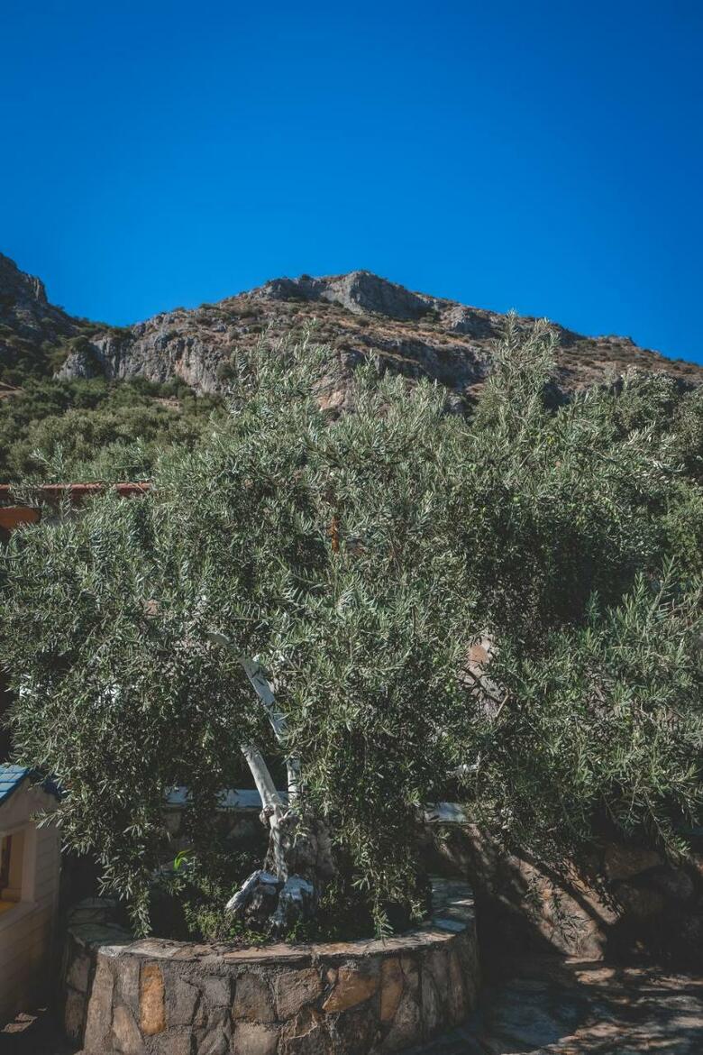 Apartamento Natureland Efes Pension
