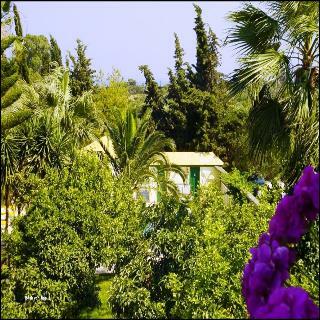 Hotel Lemon Garden