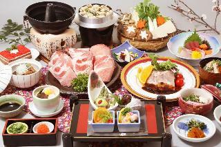 Hotel Kirishima Castle